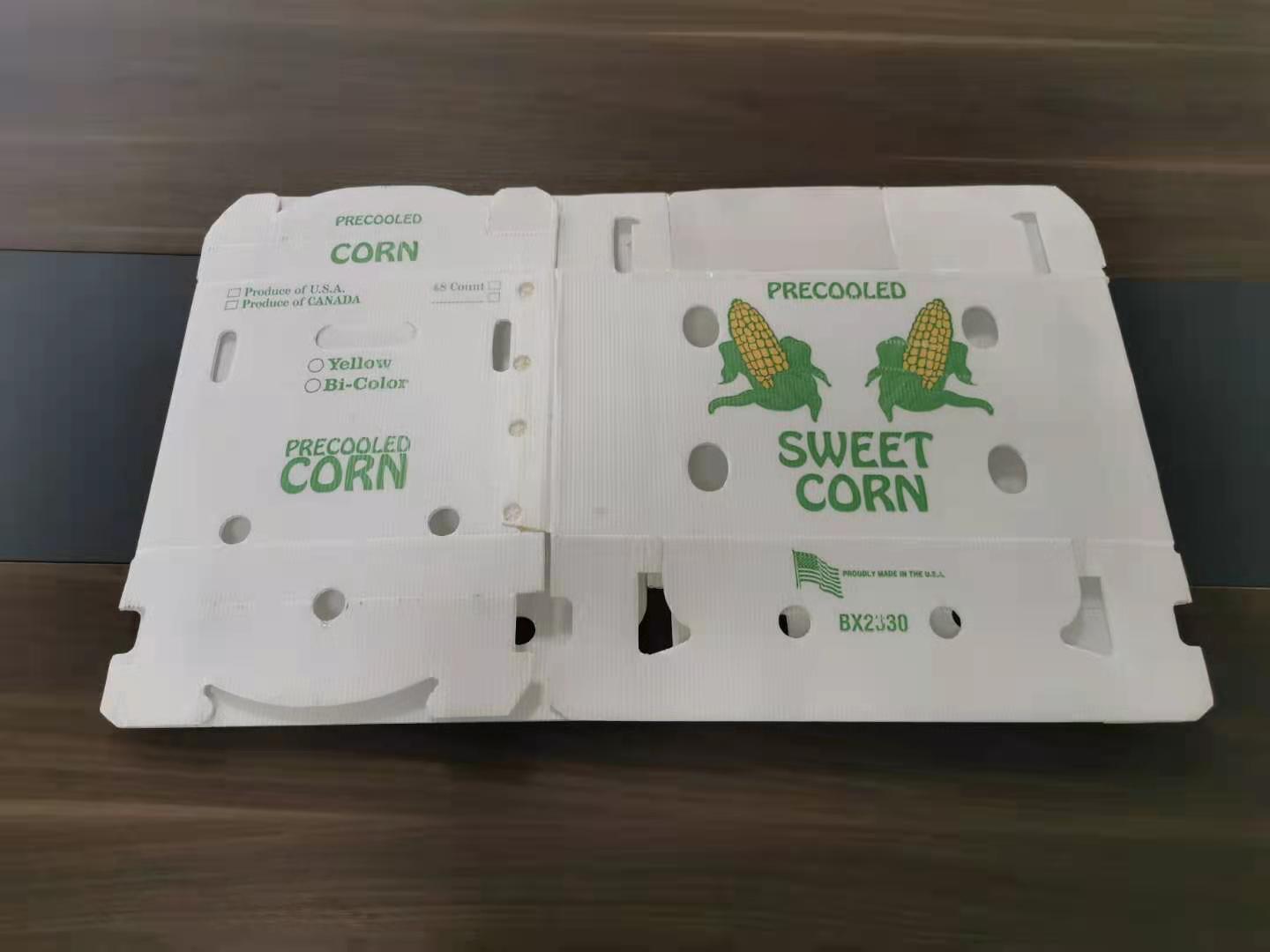 裝蔬菜水果的塑料中空板箱