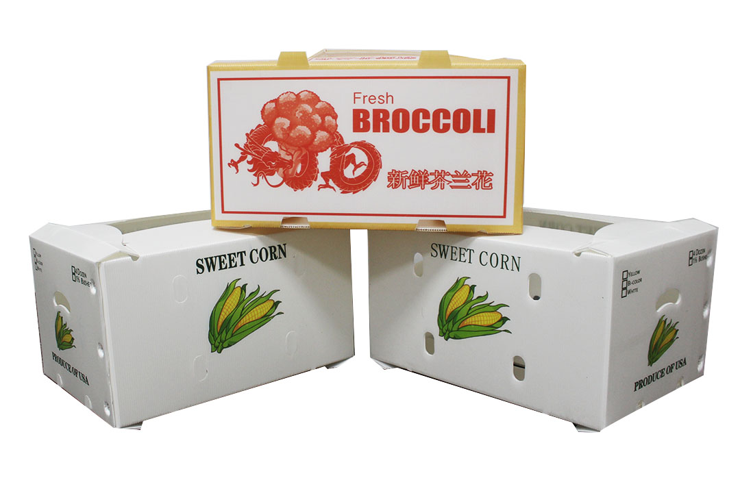 出口果蔬箱，多色印刷