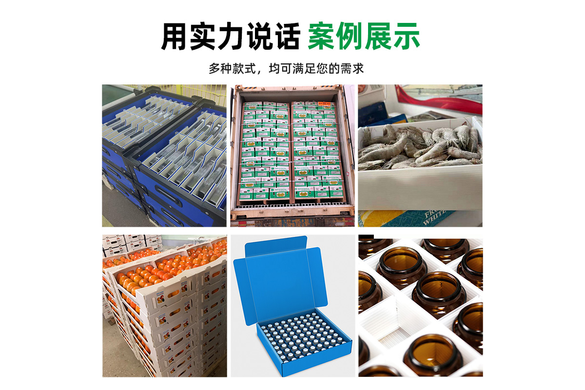 冷鏈中空板箱 可下冷庫(kù) 醫(yī)藥可用
