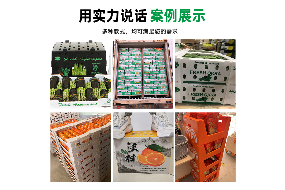 中空板堆疊箱 出口國(guó)外 案例豐富